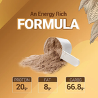 Patanjali Nutrela Weight Gain Chocolate Flavour | Grocsy