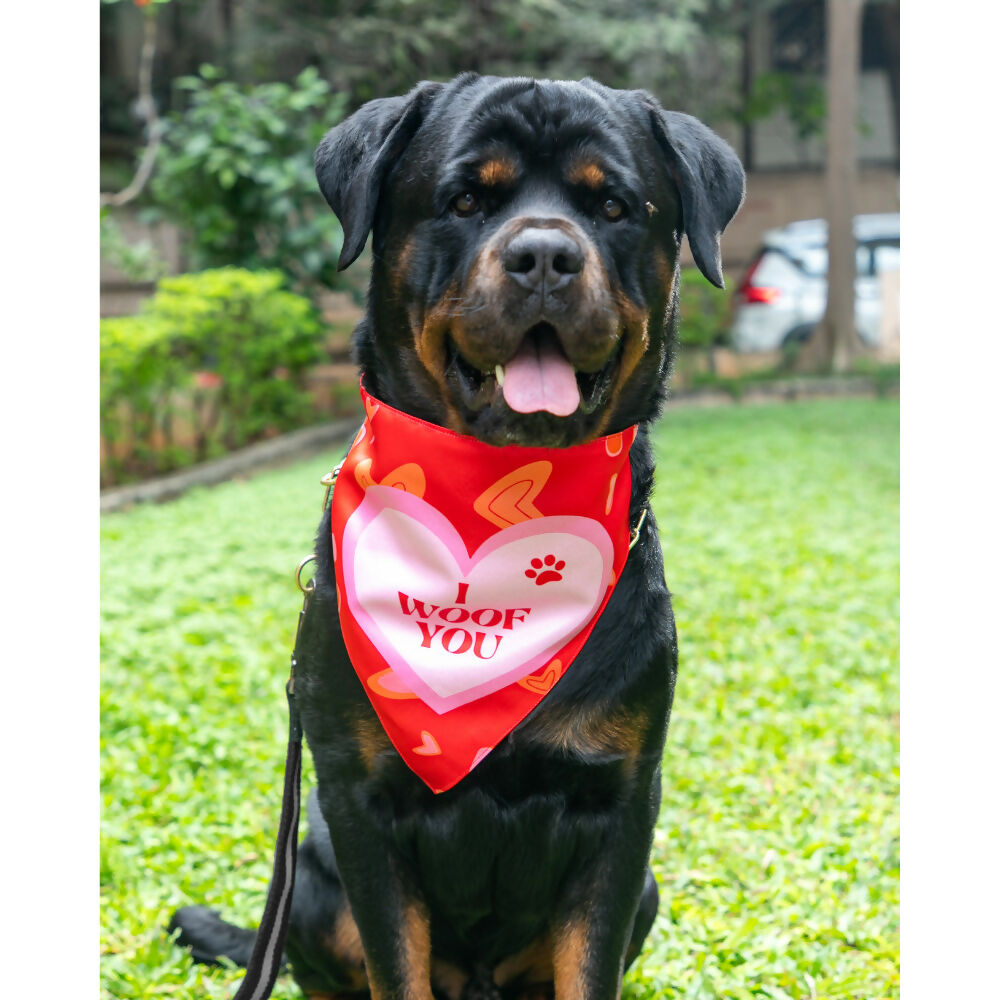 Waggety Dog Bandana - I Woof You, Soft Fabric, Stylish Pet Accessory for Dogs - Red | Grocsy