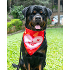 Waggety Dog Bandana - I Woof You, Soft Fabric, Stylish Pet Accessory for Dogs - Red | Grocsy