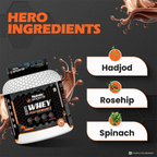 Patanjali Nutrela Sports Whey Performance (Choc-irish) | Grocsy