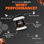 Patanjali Nutrela Sports Whey Performance (Choc-irish) | Grocsy