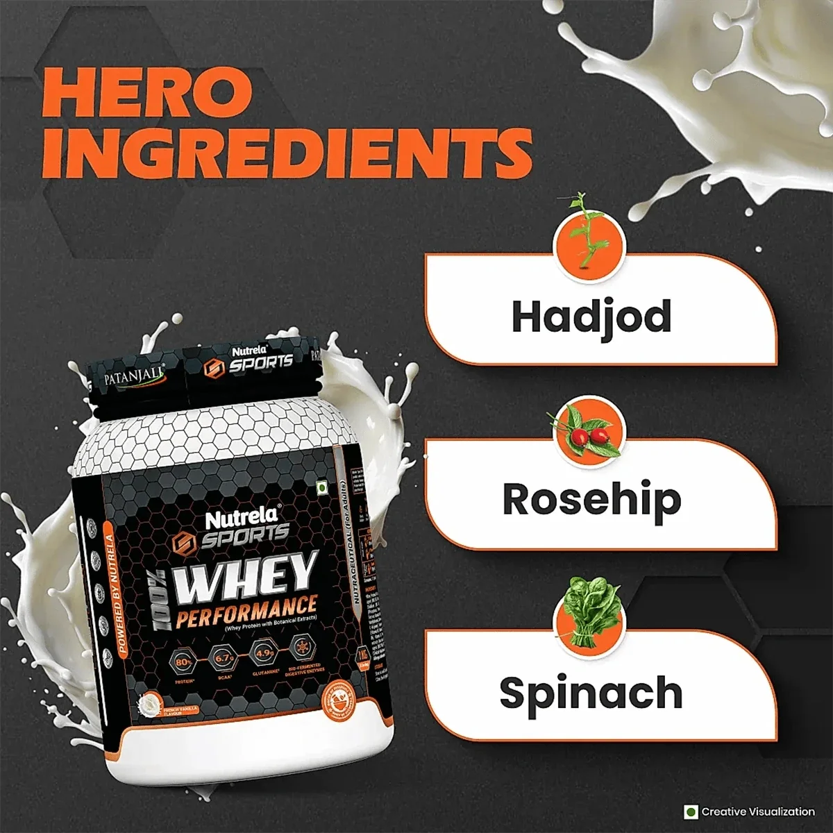 Patanjali Nutrela Sports Whey Performance (Fvic) | Grocsy