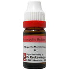 Dr. Reckeweg Squilla Maritima Dilution | Grocsy