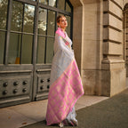 Coine Grey Handloom Khaddi Silk Saree With Contrast Pallu & Blouse - Rajtex Khwaab Silk | Grocsy