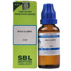 SBL Homeopathy Rhus Glabra Dilution | Grocsy