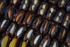 Ajfan Filled Dates Assorted Stuffed Dates Natural Khajoor | Grocsy