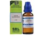 SBL Homeopathy Cactus Grandiflorus Dilution | Grocsy
