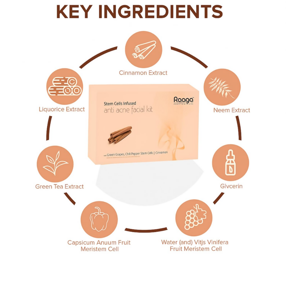 Raaga Professional Stem Cells Infused Anti Acne Facial Kit | Grocsy