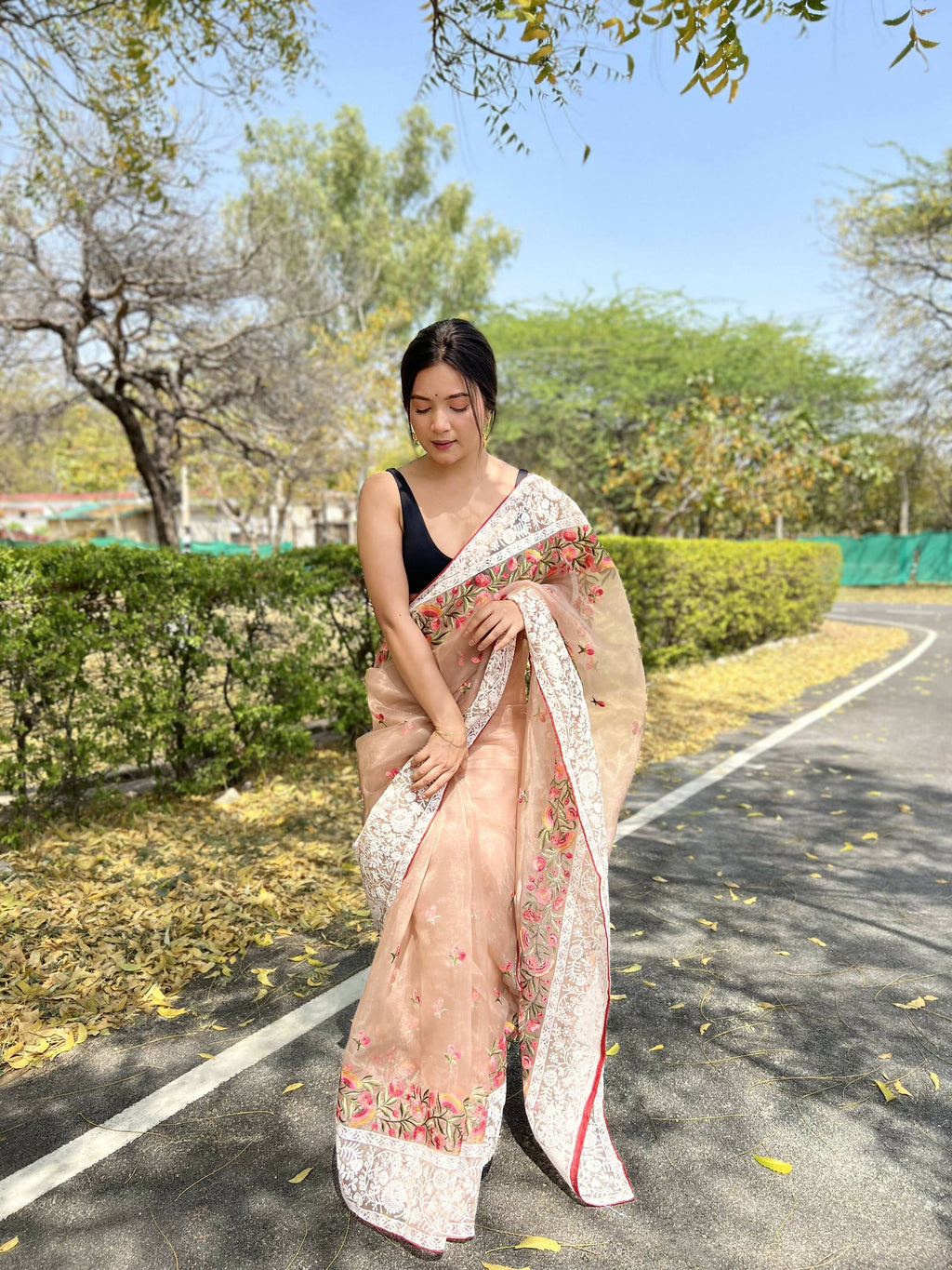 Vamsee Riddhi-Siddhi -1 Brown Organza Saree | Grocsy