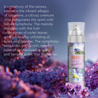VLCC Body Mist Fragrance - Velvet Symphony | Grocsy