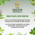 Himalayan Organics Vlado�s Plant Based 600iU Supplement Vitamin D3 + K2 | Grocsy