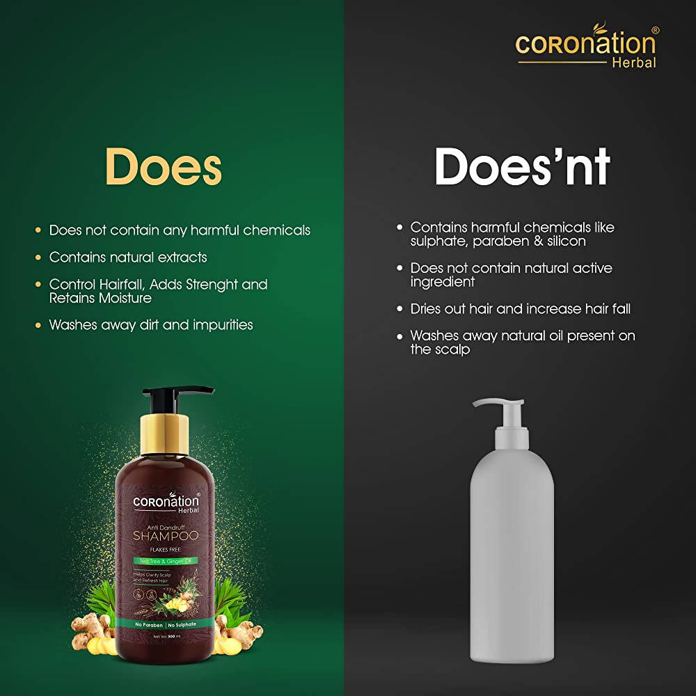 Coronation Herbal Herbal Anti Dandruff Shampoo | Grocsy