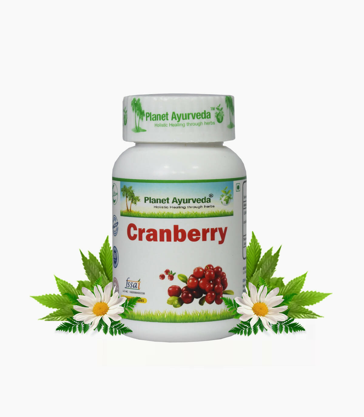 Planet Ayurveda Cranberry Capsules | Grocsy