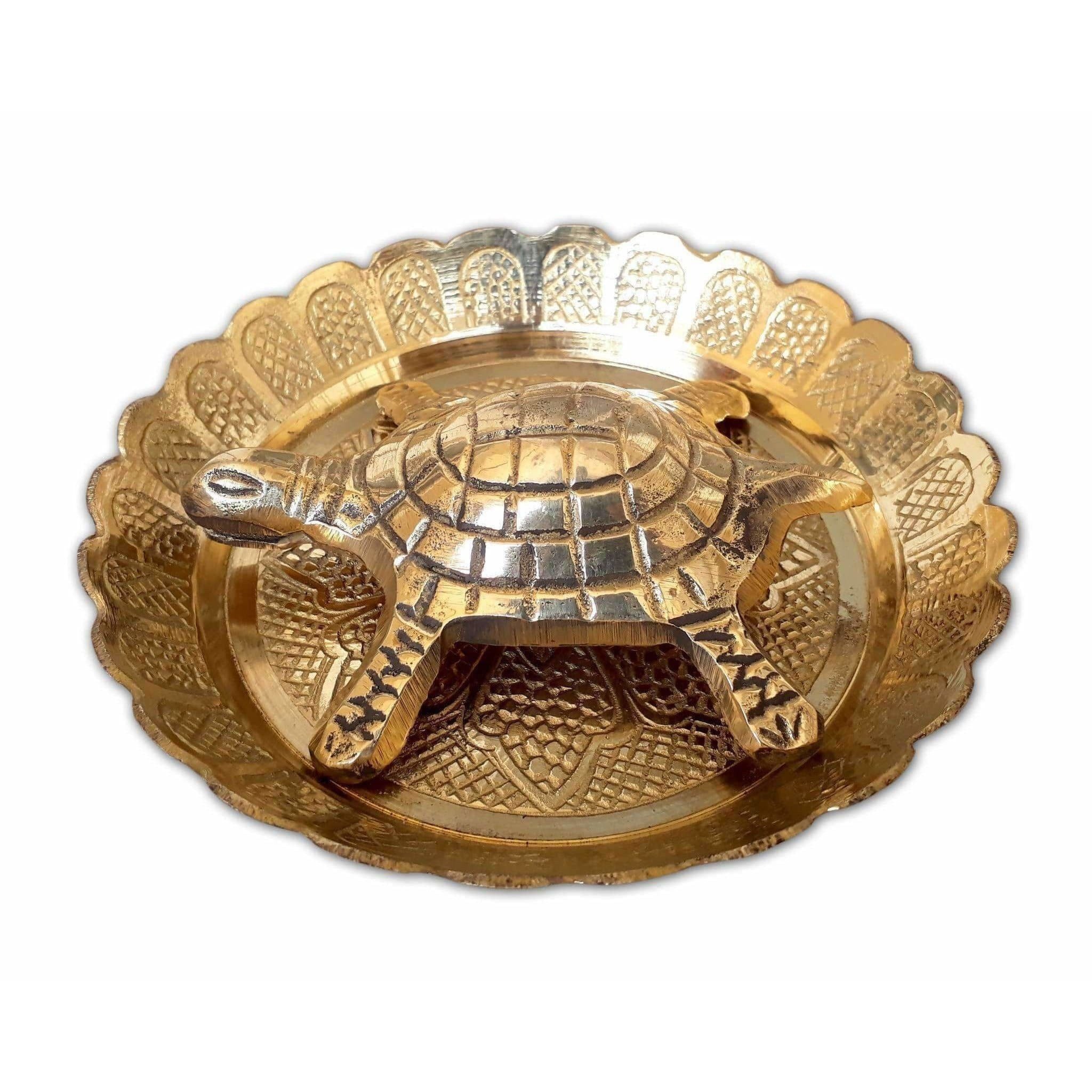 Tortoise with Small Brass Plate | Grocsy