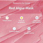 Belora Paris Red Algae Skin Repair Mask | Grocsy
