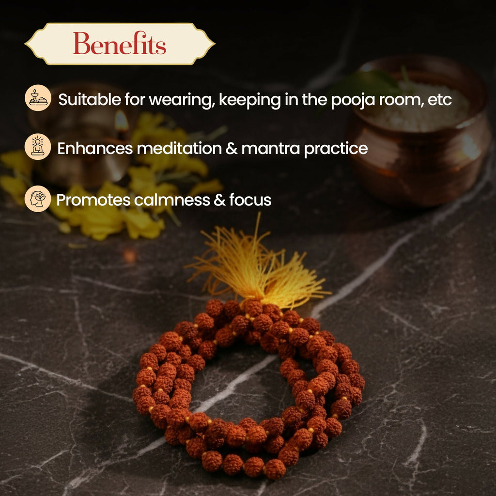 Pujashree Rudraksh Mala Small 8mm – Sacred Prayer Beads for Meditation, Chanting & Spiritual Wear | Grocsy