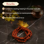Pujashree Rudraksh Mala Small 8mm – Sacred Prayer Beads for Meditation, Chanting & Spiritual Wear | Grocsy