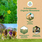 Organic India Gokshura Capsules | Grocsy
