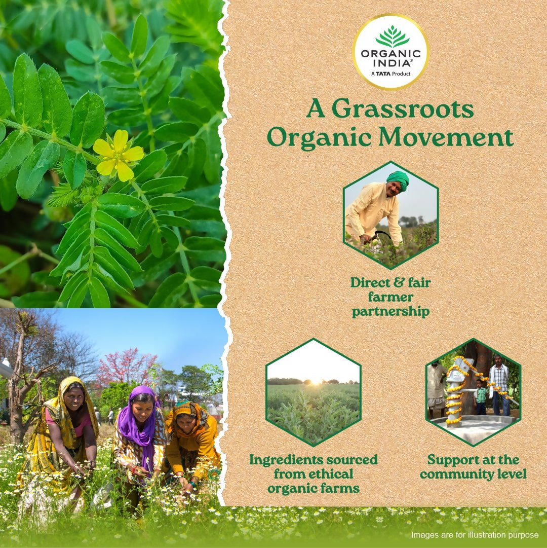 Organic India Gokshura Capsules | Grocsy