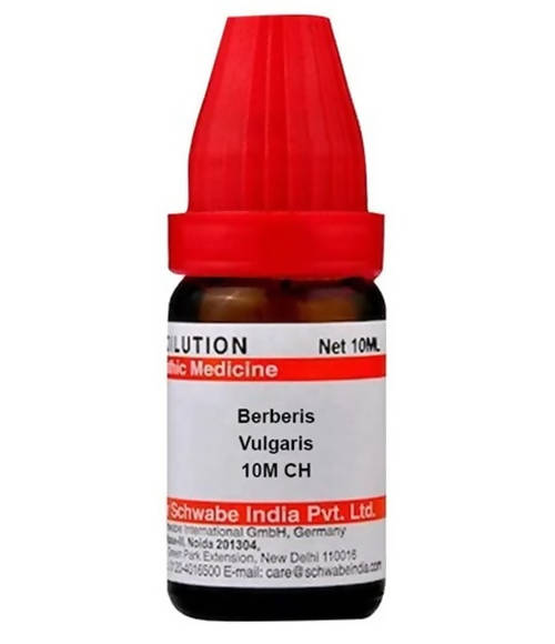 Dr. Willmar Schwabe India Berberis Vulgaris Dilution | Grocsy