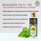 Buddha Natural Anti-Stretch Marks Body Lotion - The Visible Signs Of Stretch Marks | Grocsy