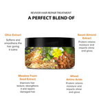 De Fabulous Reviver Hair Repair Treatment | Grocsy
