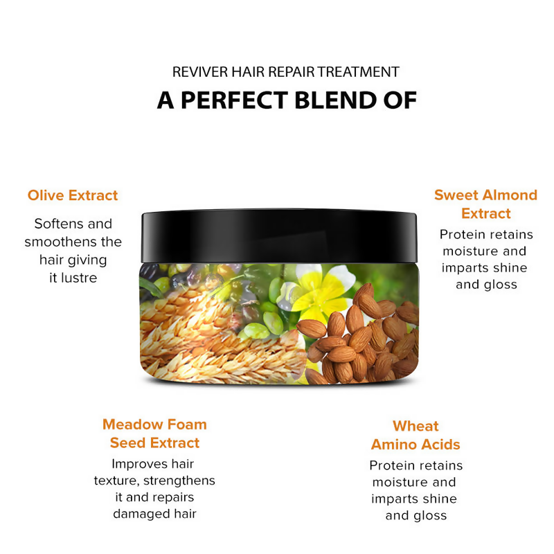 De Fabulous Reviver Hair Repair Treatment | Grocsy
