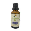 Teja Organics Camphor Essential Oil | Grocsy