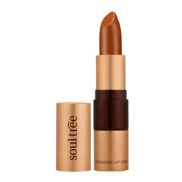 Soultree Ayurvedic Lipstick Rusty Cinnamon 840 | Grocsy