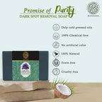 Buddha Natural Dark Spot Removal Soap - Reduce Skin Pigmentation, Perfect for Oily Skin | Grocsy