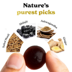 Better Alt Gold+ Sj Gummies | Grocsy
