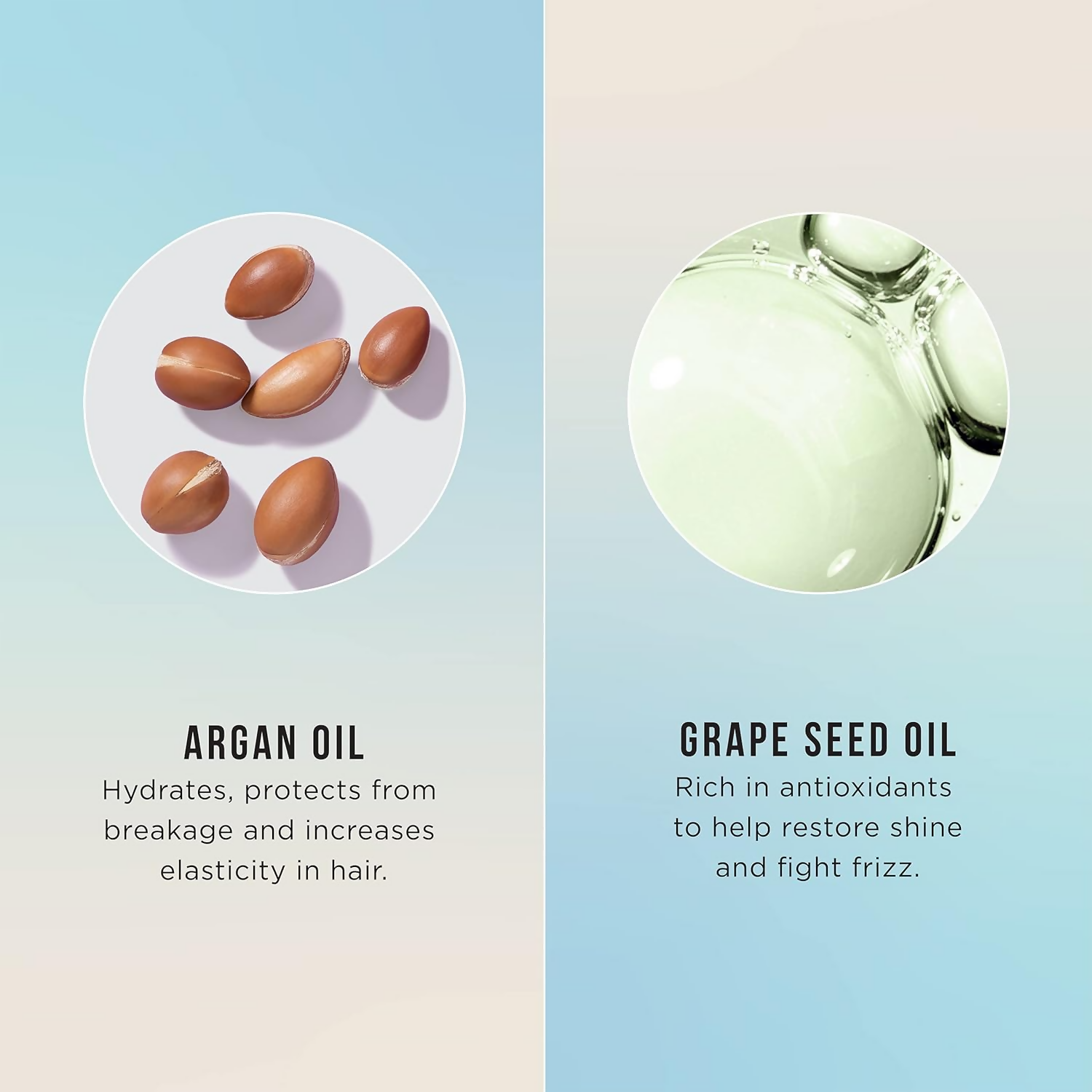 HASK Argan Oil Repairing Hair Oil | Grocsy