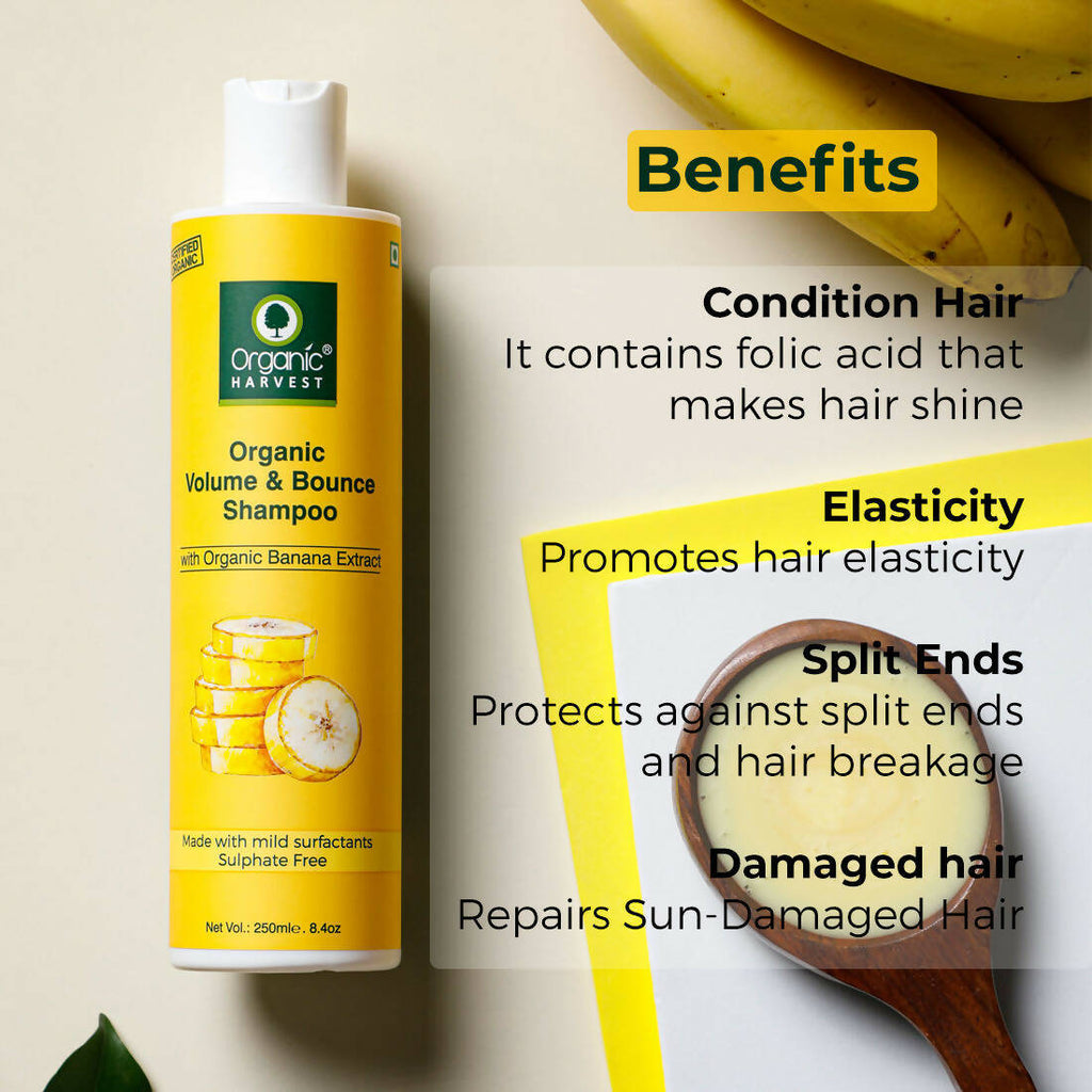 Organic Harvest Organic Volume & Bounce Shampoo With Organic Banana Extract | Grocsy