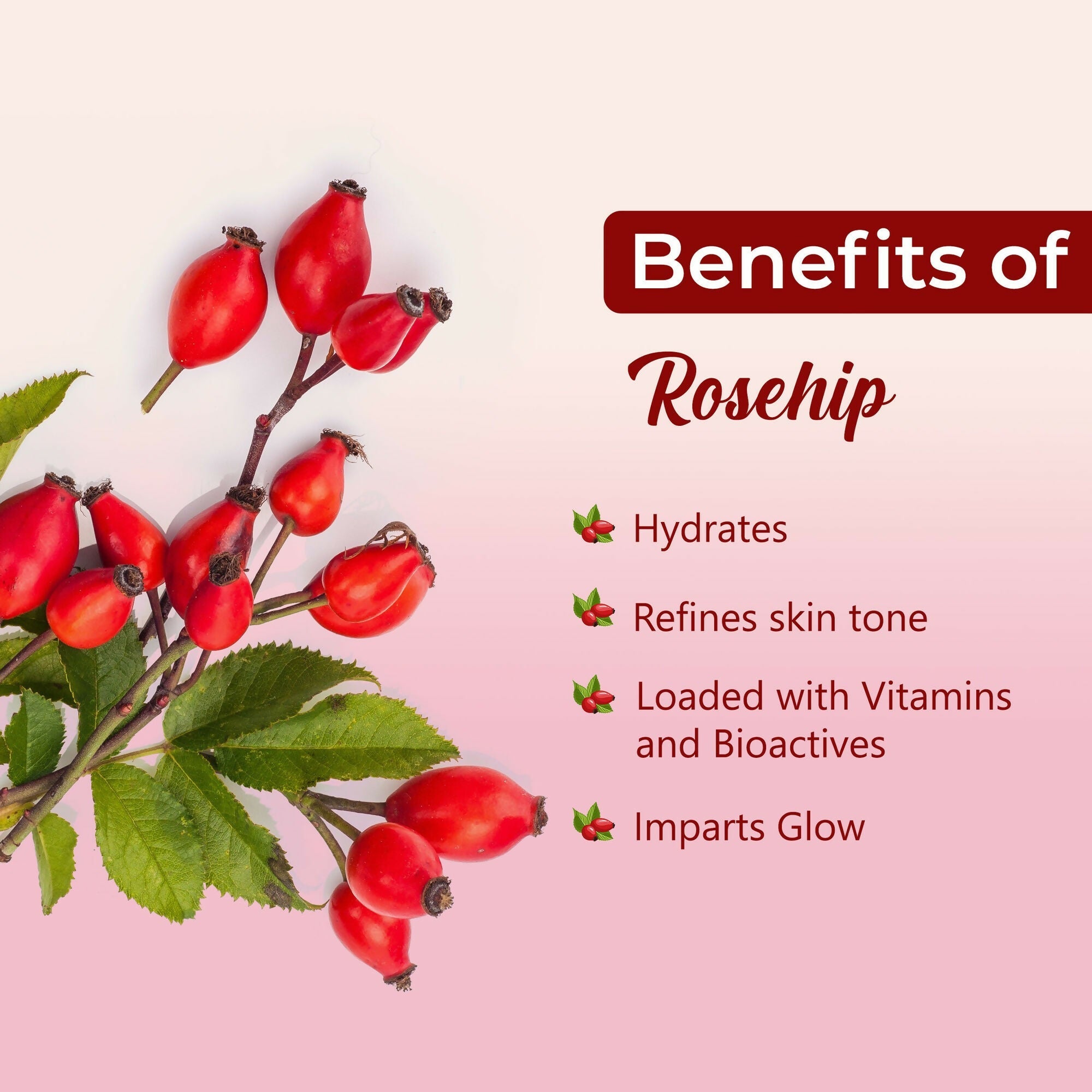 Good Vibes Rosehip Hydrating Glow Night Cream - Nourshing, Skin renewing, Sleep treatment | Grocsy