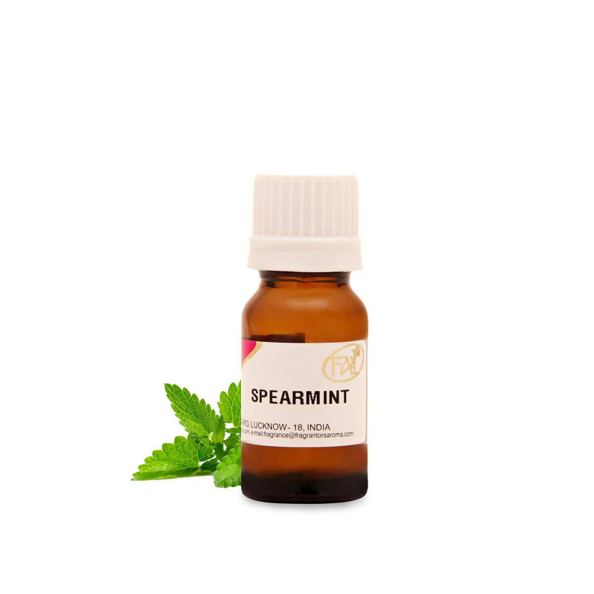 Fragrantors Spearmint Essential Oils | Grocsy