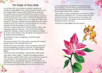Dreamland The Timeless Wisdom Of Flozy Reiki | Grocsy