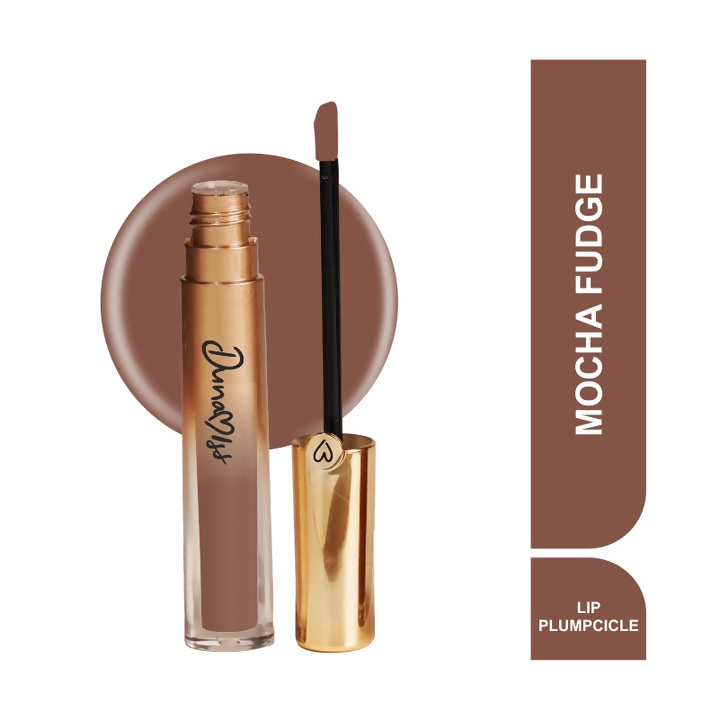 Dunamiss Mocha Fudget Gloss Lip Plumpcicle | Grocsy