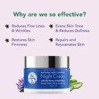 The Moms Co Natural Age Control Night Cream (50 Gm) | Grocsy