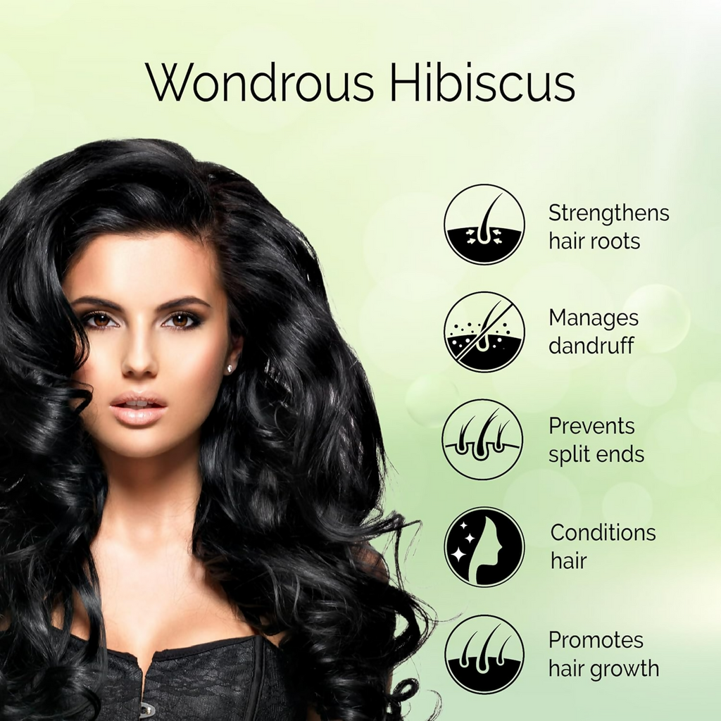 Pyoura Hibiscus Powder 100% Pure & Natural Blend Of Flowers & Leaves Hair Mask | Grocsy