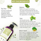 Glamveda Anti Dandruff & Healthy Hydration Tea Tree Conditioner | Grocsy