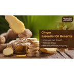 Vaadi Herbals Ginger 100% Pure Essential Oil Therapeutic Grade | Grocsy