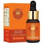 Old Tree Carrot Seed Essential Oil | Grocsy