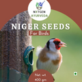 Nxtgen Ayurveda Niger Seeds for Birds | Grocsy