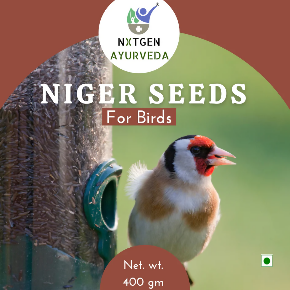 Nxtgen Ayurveda Niger Seeds for Birds | Grocsy