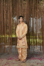 Tan Kanjivaram Hand Embroidered Pattu Set by Hilo Design | Grocsy