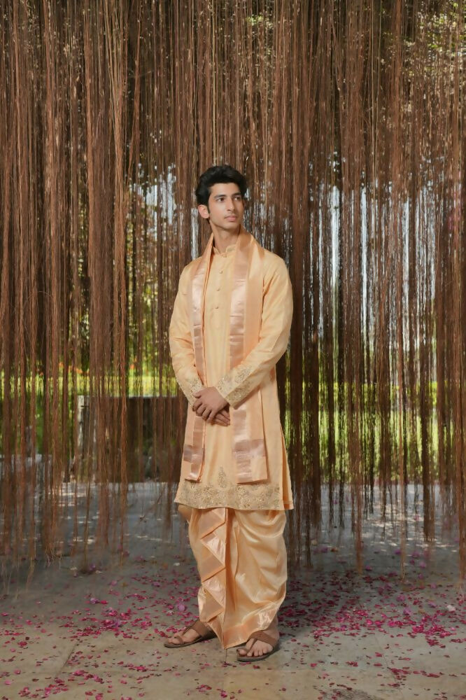 Tan Kanjivaram Hand Embroidered Pattu Set by Hilo Design | Grocsy
