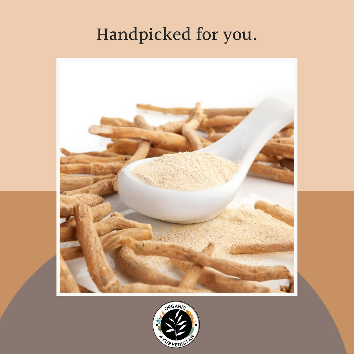 Organic AyurveGrocsyn Ashwagandha Powder | Grocsy