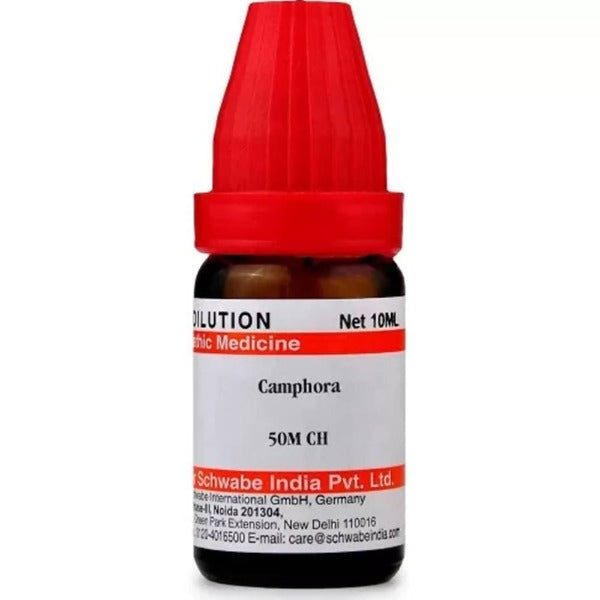 Dr. Willmar Schwabe India Camphora Dilution | Grocsy