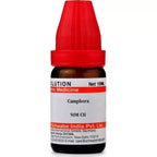 Dr. Willmar Schwabe India Camphora Dilution | Grocsy