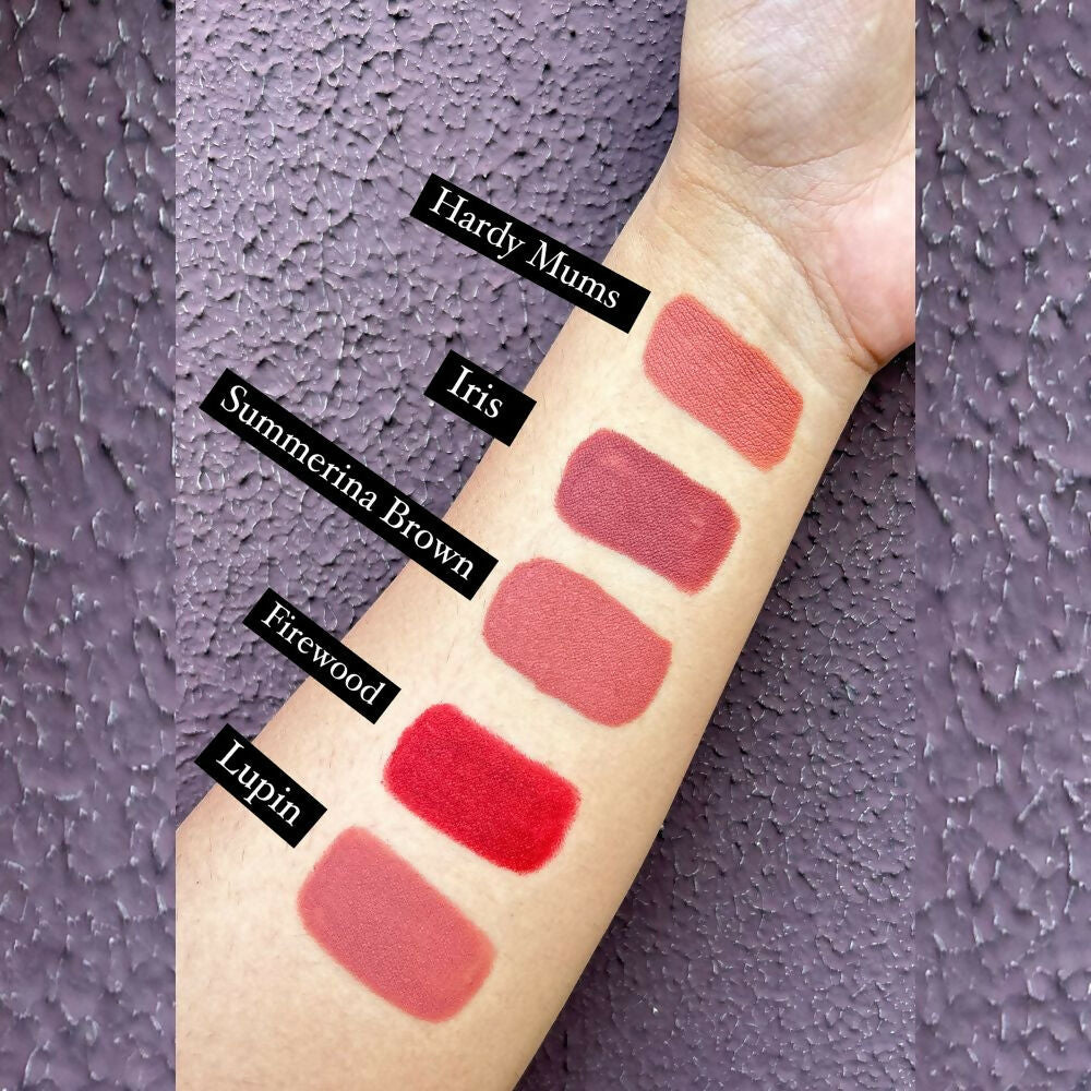 Love Earth Lip Crayon Non-Transfer Lipstick 1.O And Sharpener | Grocsy
